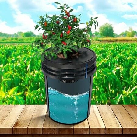 DWC Hydroponics Grow System Deep Water Culture 8 Buckets with Air Pump