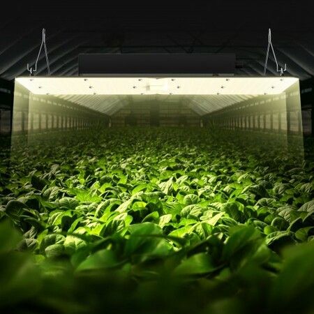 LED Grow Light, 300W Full Spectrum Dimmable, High Yield Samsung 2B1B Diodes Growing Lamp for Indoor Plants Seedling Veg and Bloom Greenhouse Growing, Daisy Chain Driver for 3x3/4x4 ft Grow Tent