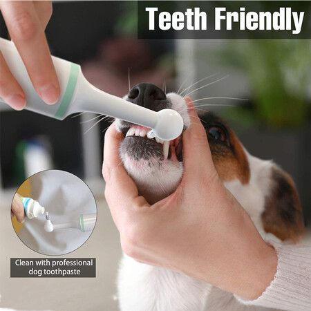 Electric Dog Toothbrush: Tartar and Plaque Cleaner with 4 Brush Heads for Pets