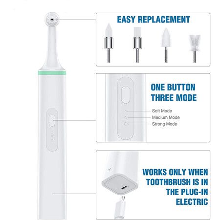 Electric Dog Toothbrush: Tartar and Plaque Cleaner with 4 Brush Heads for Pets