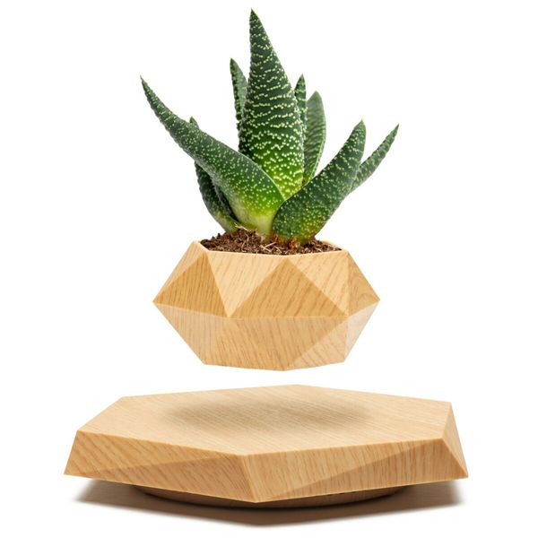 Defy Gravity Magnetic Floating Levitating Plant Pot for Small Plants in Your Home or Office(Wood)