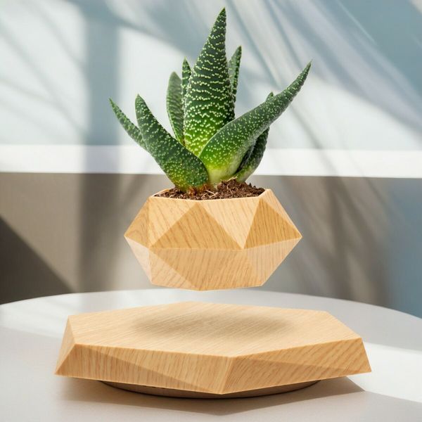 Defy Gravity Magnetic Floating Levitating Plant Pot for Small Plants in Your Home or Office(Wood)