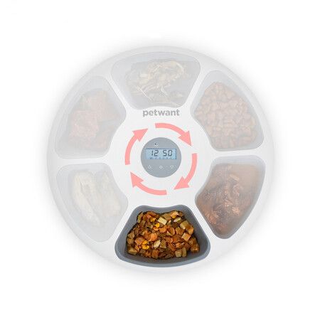 6 Meals Automatic Pet Feeder: Wet and Dry Food, Programmable Timer, for Cats and Small to Medium Dogs