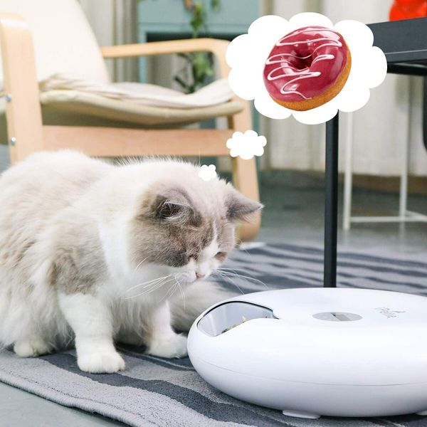 6 Meals Automatic Pet Feeder: Wet and Dry Food, Programmable Timer, for Cats and Small to Medium Dogs