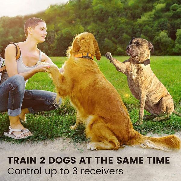 3-dog Anti Bark training Collars with 4 modes for Medium and Large Breed Dogs