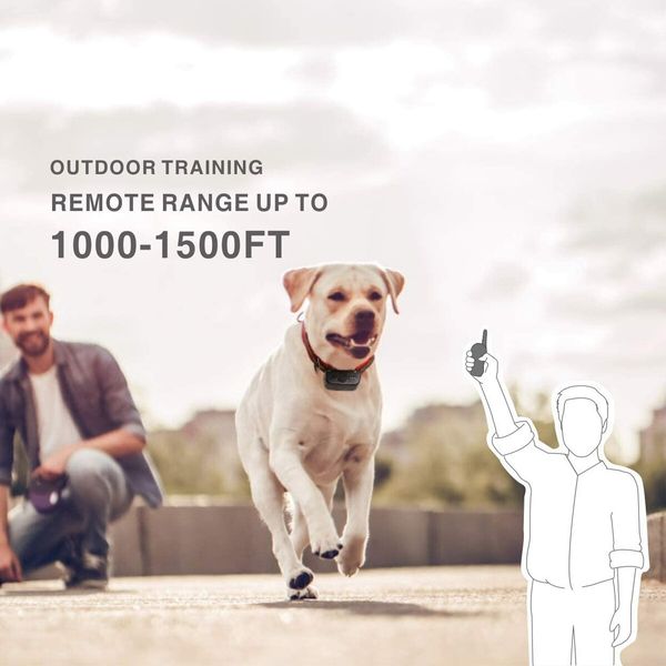 2-in-1 Dog Training Collar: Anti-Bark and Shock Collar with 3 Training Modes and Rechargeable, Waterproof Design