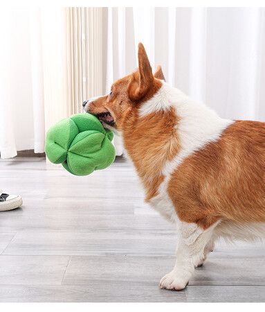 Interactive Broccoli Snuffle Ball Traing Puzzle Toy: Engage Your Dog's Mind