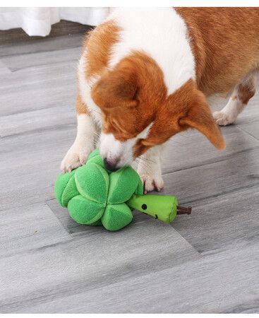 Interactive Broccoli Snuffle Ball Traing Puzzle Toy: Engage Your Dog's Mind