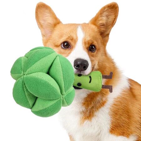 Interactive Broccoli Snuffle Ball Traing Puzzle Toy: Engage Your Dog's Mind