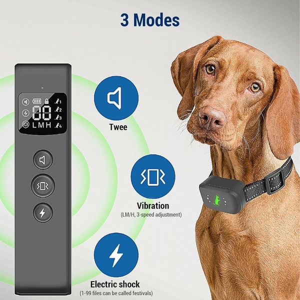 Smart Anti-Bark Dog Training Collar: Waterproof, Rechargeable, and Remote Control
