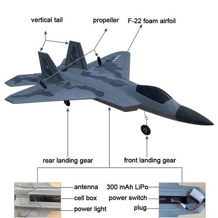 Ready-to-Fly F-22 RC Plane with 2.4GHz Remote Control Easy to Fly RC Glider