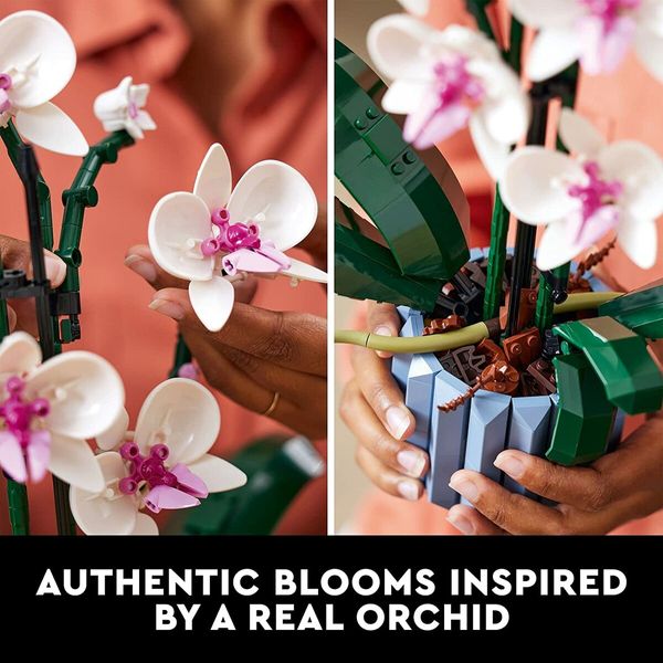 Expansive 608-piece Orchid Blocks Building Set for limitless building possibilities