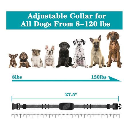 2 Dogs Effective Anti-Bark Dog Shock Collar with Remote Range up to 2600FT large areas for Small Medium Large Dogs 8 to 120lbs