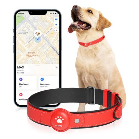 GPS Dog Tracker Collar: Real-Time Location, No Monthly Fee - For iOS Only