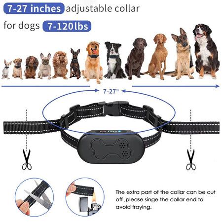 2-Dog Remote Control Dog Training Collar: Waterproof, Rechargeable, and with 4 Modes for Large, Medium, and Small Dogs(Green)