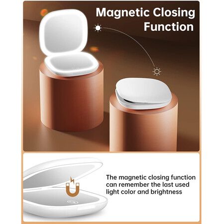 Rechargeable Dual-Side Travel Makeup Mirror with Lights and 10X Magnification