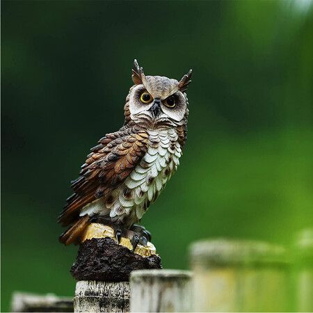 Adorable Resin Owl Statue for Outdoor Garden and Patio Decoration(17X10X7.5CM)