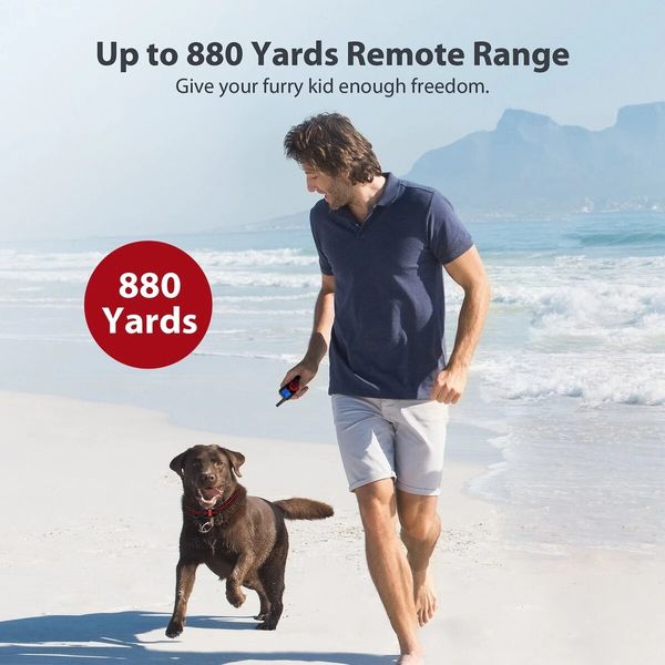 Remote Dog Training Shock Collar System: Train Your Dog Effectively and Safely