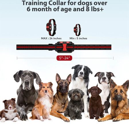 Remote Dog Training Shock Collar System: Train Your Dog Effectively and Safely