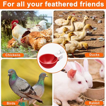 Automatic Chicken Water Feeders with Saw for Buckets and Boxes(5-Pack) - Perfect for Poultry, Ducks, Geese, Turkeys, and Bunnies