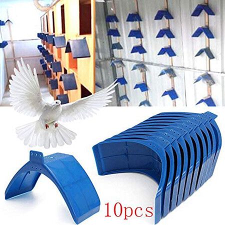 10-Pack Pigeon Stand Perch Roost with Roost Frame: Durable and Comfortable Resting Place for Your Birds(Blue)