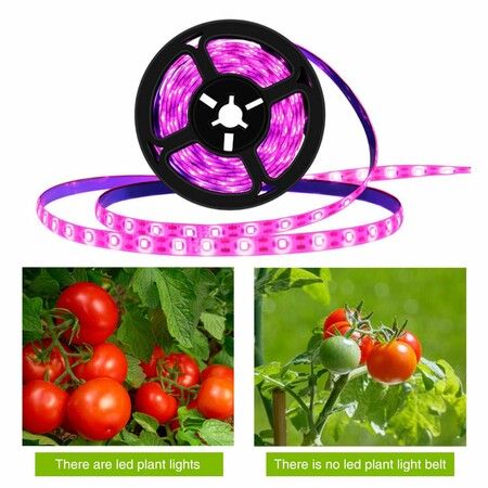 3M Waterproof LED Plant Grow Light Strips Growing Lamp: Full Spectrum Lighting for Indoor Gardening