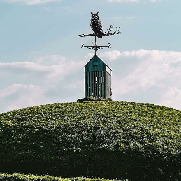 Durable Stainless Steel Owl Weather Vane: Black Spray Paint Finish for Weather Resistance, Perfect for Outdoor Sheds