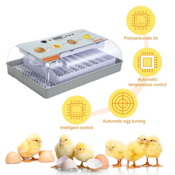 Fully Digital Automated 20 Egg Incubator with Hatching, Turning, and Candling Features for Chicken Quail Duck Poultry Bird