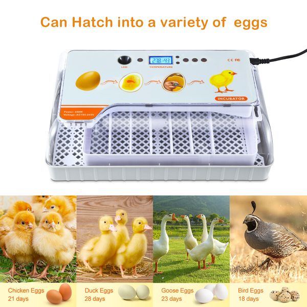 Fully Digital Automated 20 Egg Incubator with Hatching, Turning, and Candling Features for Chicken Quail Duck Poultry Bird