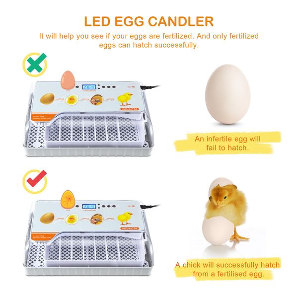 Fully Digital Automated 20 Egg Incubator with Hatching, Turning, and Candling Features for Chicken Quail Duck Poultry Bird