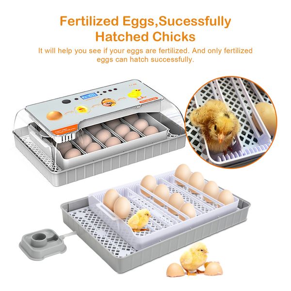 Fully Digital Automated 20 Egg Incubator with Hatching, Turning, and Candling Features for Chicken Quail Duck Poultry Bird