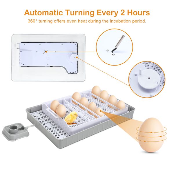 Fully Digital Automated 20 Egg Incubator with Hatching, Turning, and Candling Features for Chicken Quail Duck Poultry Bird