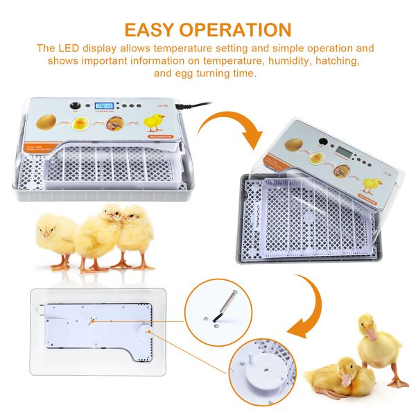 Fully Digital Automated 20 Egg Incubator with Hatching, Turning, and Candling Features for Chicken Quail Duck Poultry Bird