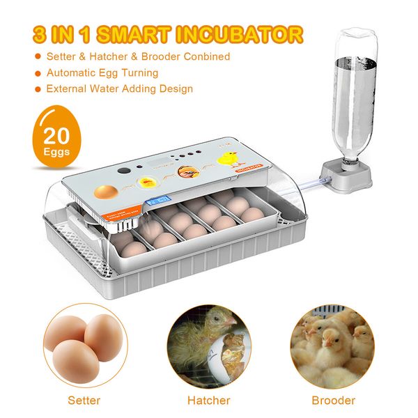 Fully Digital Automated 20 Egg Incubator with Hatching, Turning, and Candling Features for Chicken Quail Duck Poultry Bird