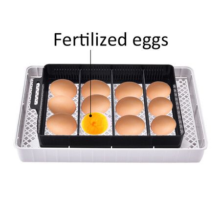 Fully Digital Automated 20 Egg Incubator with Hatching, Turning, and Candling Features for Chicken Quail Duck Poultry Bird