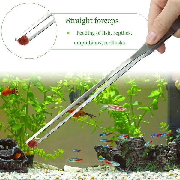 2-Piece Stainless Steel Feeding Tongs and Tweezers Set for Aquarium Maintenance and Reptile Feeding