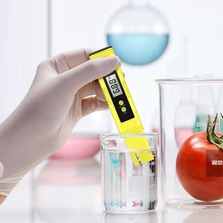 2-in-1 TDS and pH Meter - Digital Water Quality Tester