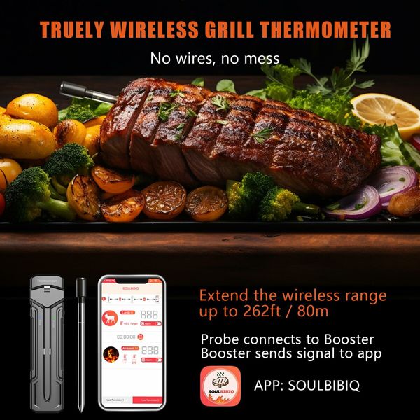 Bluetooth Wireless Meat GRill Thermometer with 262FT Range, Smart App, 2 in 1 Probe for Grilling Inside and Out