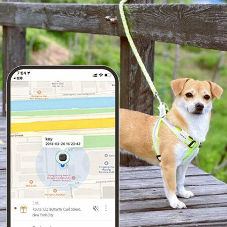 Find Your Furry Friend with Pet Tracker: Remote Anti-Lost Finder for Cats and Dogs (White)