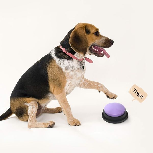 Easy to use Voice Recording Dog Training Buttons - 4 Pack (Blue, Pink, Yellow, Purple) for Communication and Pet Training