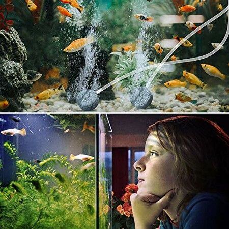 Solar-Powered Oxygen Pump for Fish Tanks, Pools, and Ponds