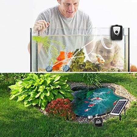 Solar-Powered Oxygen Pump for Fish Tanks, Pools, and Ponds