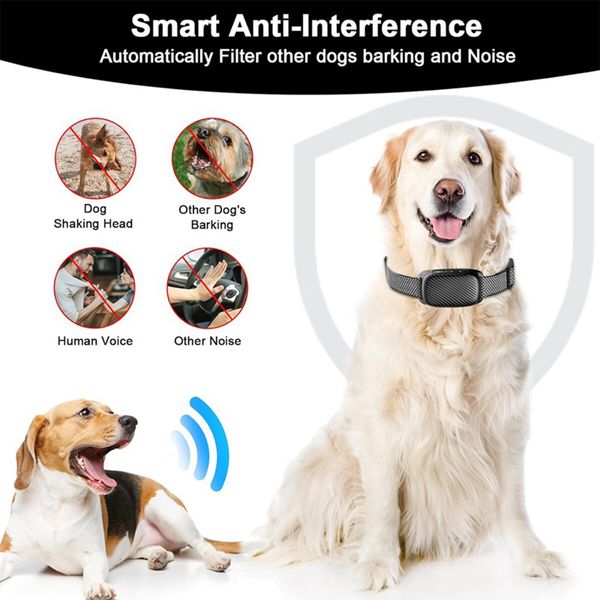 Automatic Anti Bark Dog Collar with 8 Adjustable Sensitivity Levels, Smart Rechargeable Large Medium Small Dogs