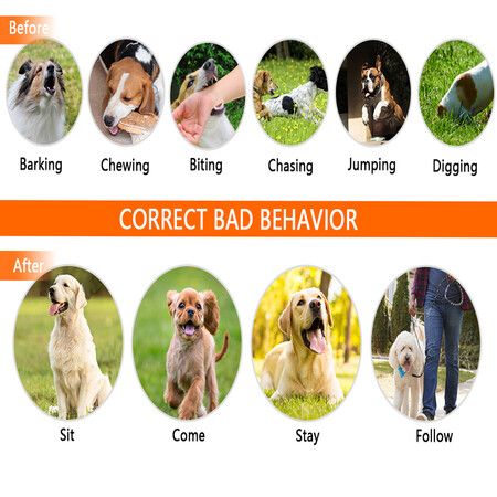 Anti-Bark Dog Training Collar with Remote 600m Range, Beep/Vibration/Shock 3 Modes,  Waterproof Rechargeable Electric Collar for Large Small Dogs