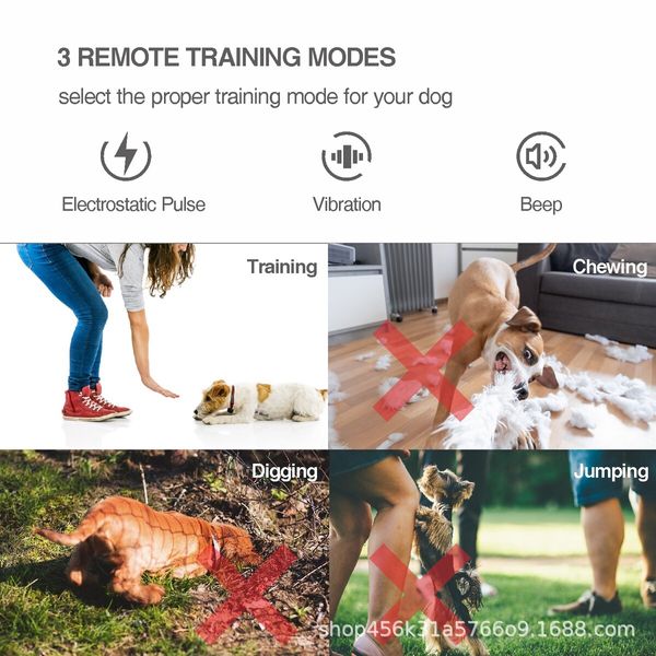 Auto Bark Control 2-in-1 Dog Training Collar with 3 Modes(Modes,Beep,Shock)-800m Remote Range for All Dog Sizes