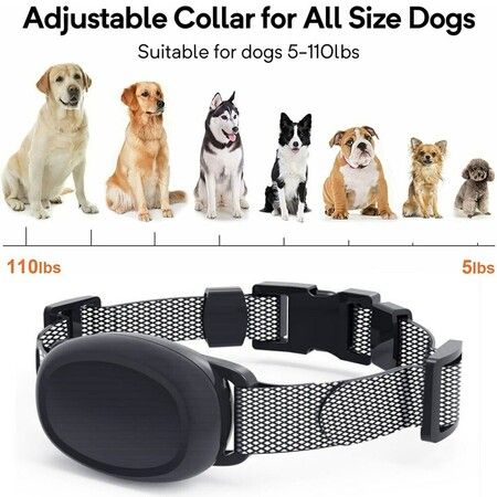 Waterproof Dog Training Collar: Electric with Remote Control, Shock, Vibration, and Sound (Black)