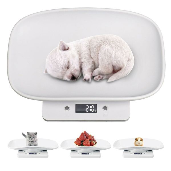 Digital Small Animal Scales: High-Precision Weighing for Puppies, Kittens, and Other Small Pets