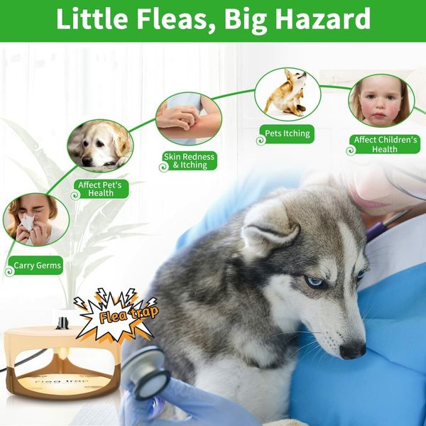 Effective Pest Control Flea & Bed Bug Trap with Sticky Dome, 2 Replaceable Glue Discs，Natural Insect Killer Non-Toxic & Odorless Safe for Kids/Pets