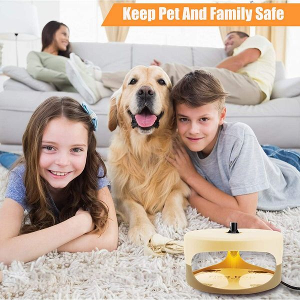 Effective Pest Control Flea & Bed Bug Trap with Sticky Dome, 2 Replaceable Glue Discs，Natural Insect Killer Non-Toxic & Odorless Safe for Kids/Pets