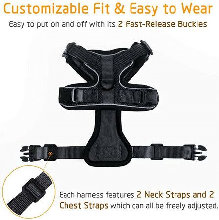 Escape-Proof Cat Harness and Leash (Size XS): Comfortable and Reflective for Safe Walking